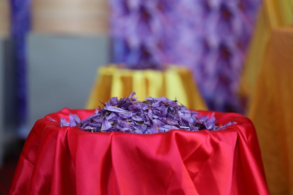 آلبوم ویژه از پنجمین جشنواره گُل زعفران در هرات!