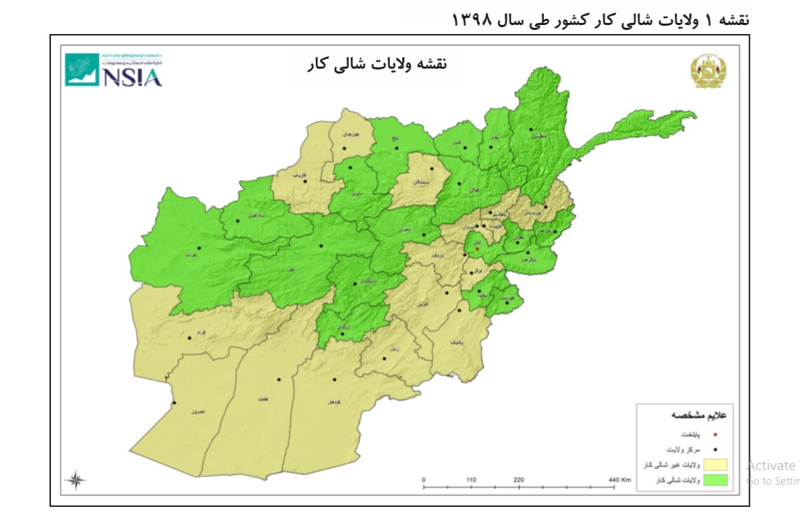 افزایش نُه درصدی تولید برنج: