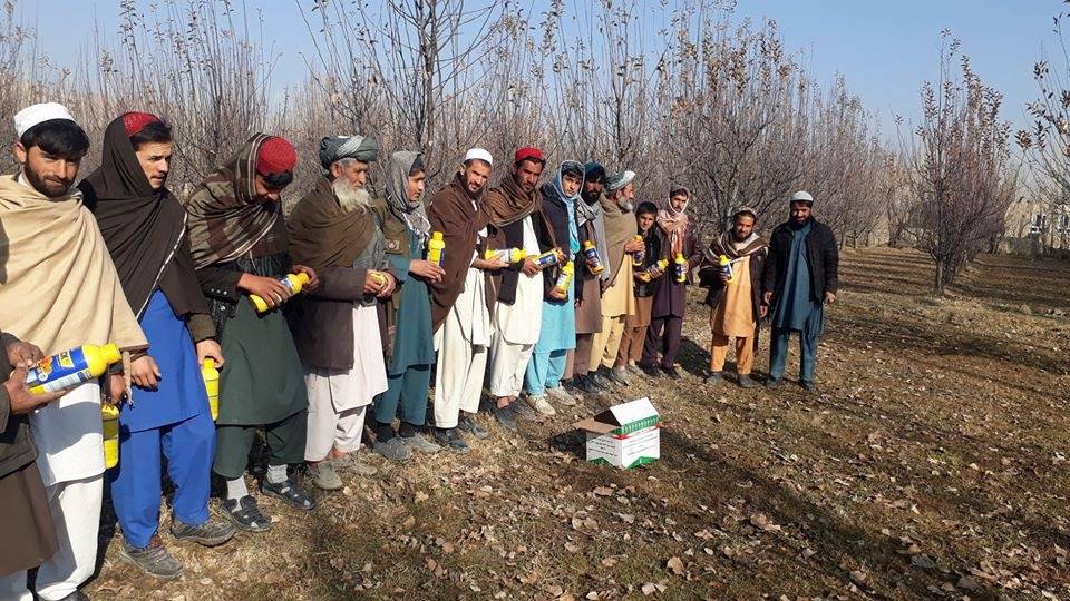  به باغداران لوگر روغن زمستانی توزیع شد