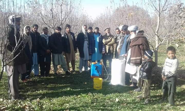  وگر کې بڼوال او بزګرانو ته د «یوریا سپري» جوړولو لارې چارې ښول دکیږي