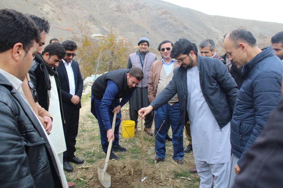  چهل جریب باغ جدید در پنجشیر ساخته می‌شود