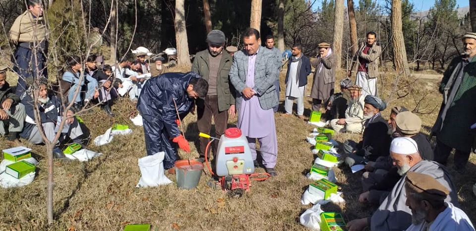  کمپاین مبارزه با آفات نباتی در زون شمال‌شرق شروع شد