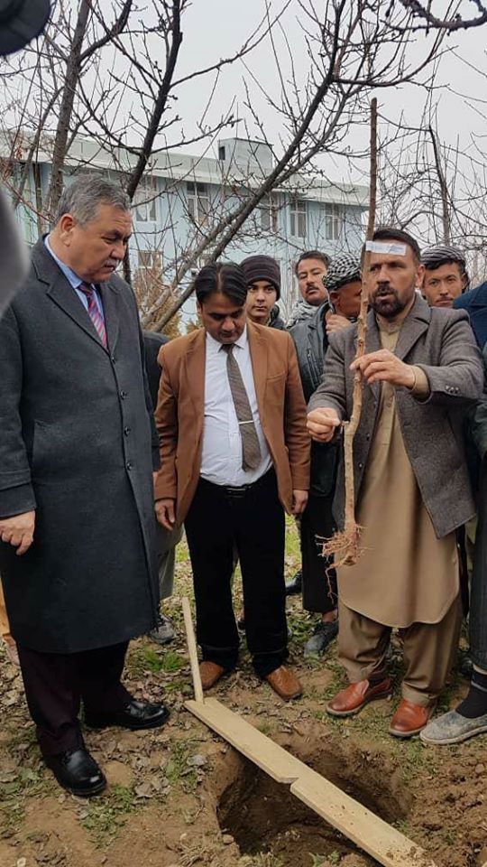 آغاز کمپین ایجاد باغ: ششصد جریب باغ در سرپل ساخته میشود