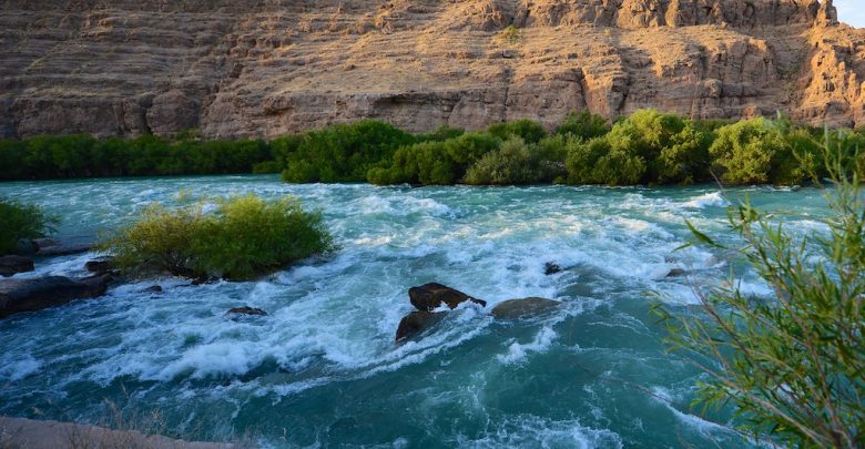هلمند او غوره کرنیز تولیدات یې وپېژنئ