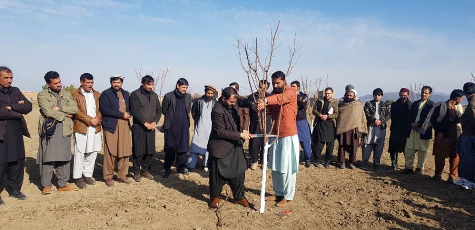  سوېل ختیځ زون د ترویج کارکوونکو لپاره روزنیز پروګرام پیل شو