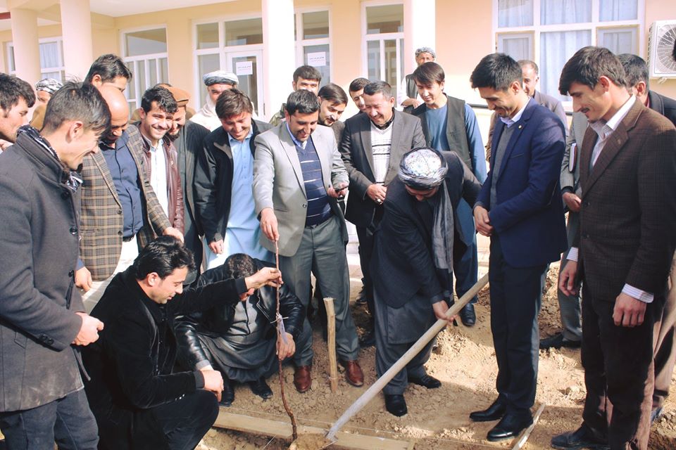 یک هزار و ۵۰۰ جریب باغ میوه در شمال کشور ساخته شد