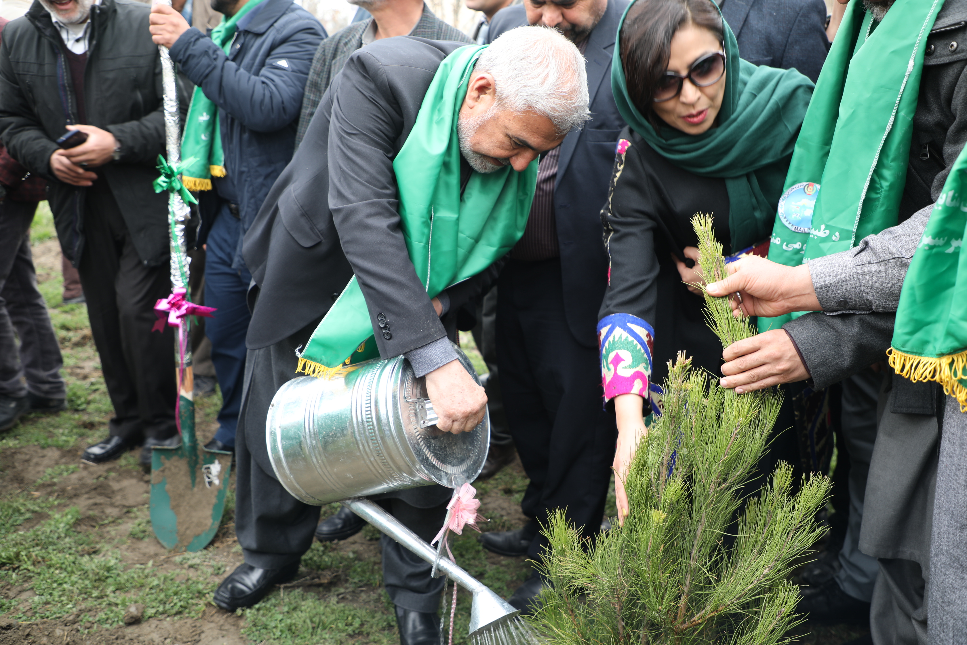 روز ملی نهال‌شانی؛ آغاز هم‌سویی با کمپین سبزسازی افغانستان