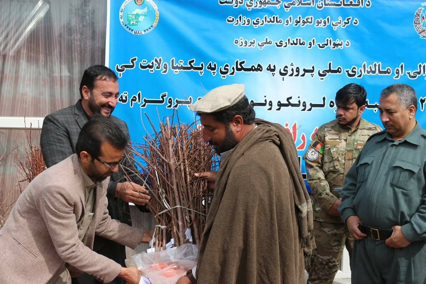 پکتیا کې ۲۶۴۶ جریبه د مېوو نوي بڼونه جوړیږي