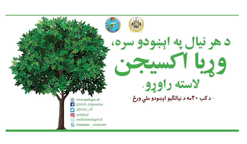 د هر نیال په اېښودو سره، وړیا اکسیجن تر لاسه کړئ!