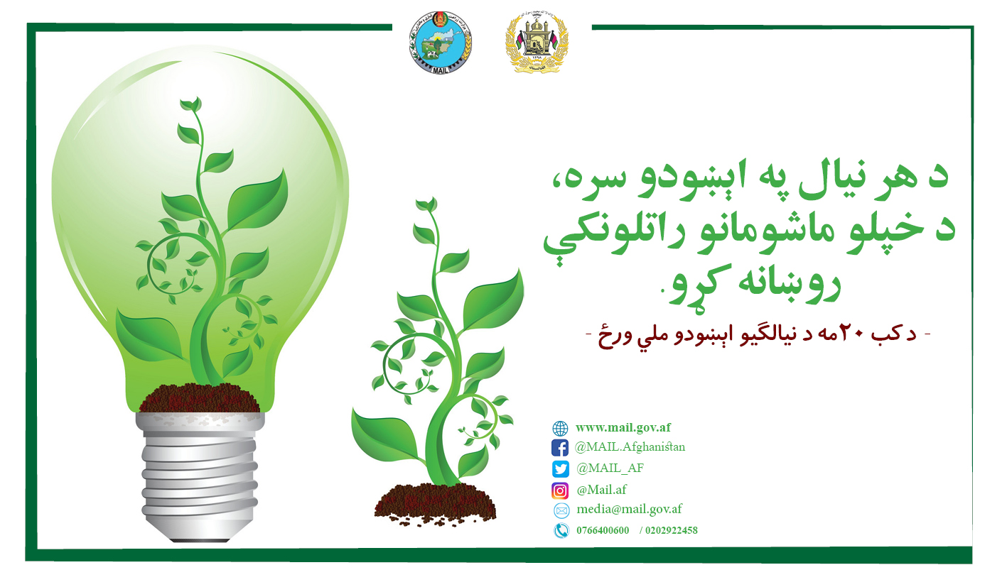 د هر نیال په اېښودو سره، د خپلو ماشومانو راتلونکې روښانه کړئ