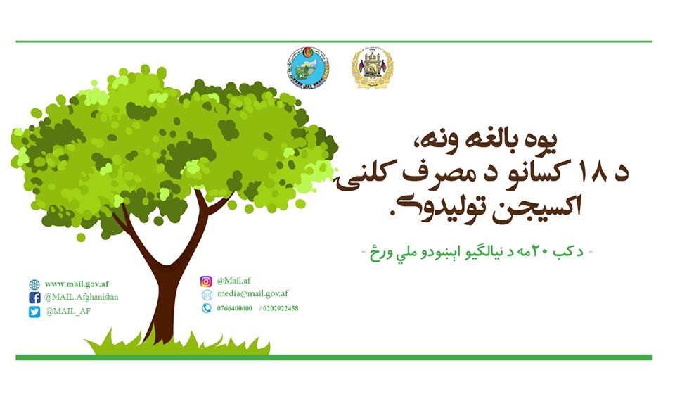 یوه بالغه ونه، د ۱۸ کسانو د مصرف کلنۍ اکسیجن تولیدوي.