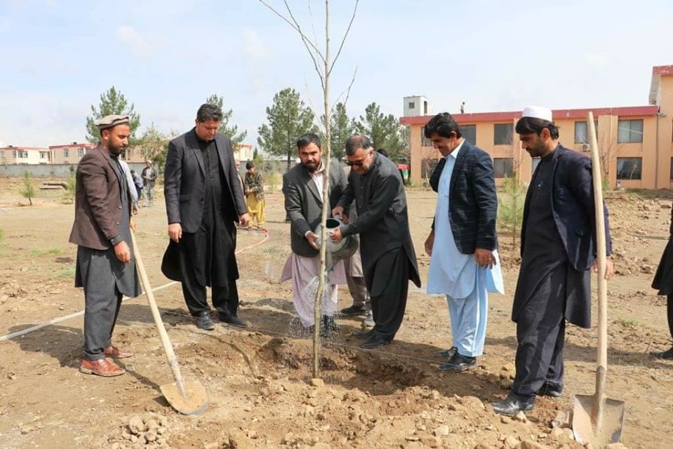 خوست کې د چهار چنار بڼ جوړ شو