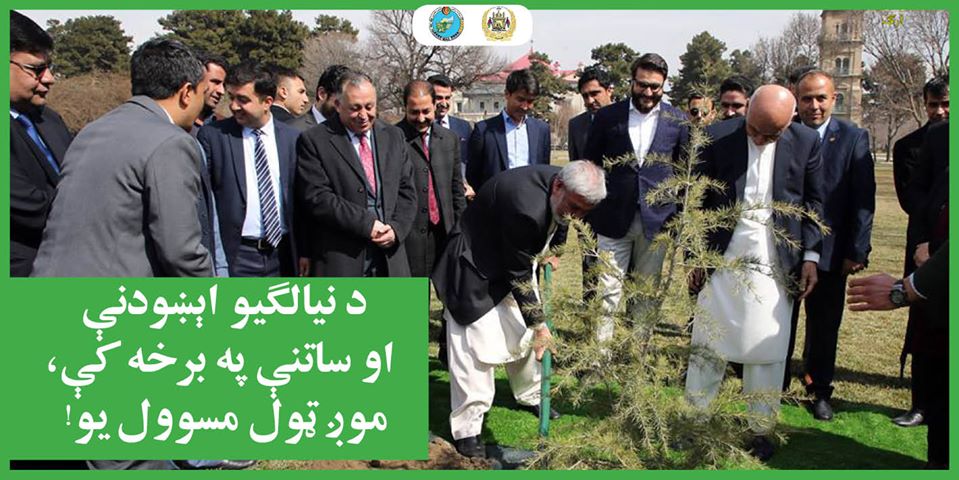 د نیالګیو اېښودنې او ساتنې په برخه کې، موږ ټول مسوول یو!