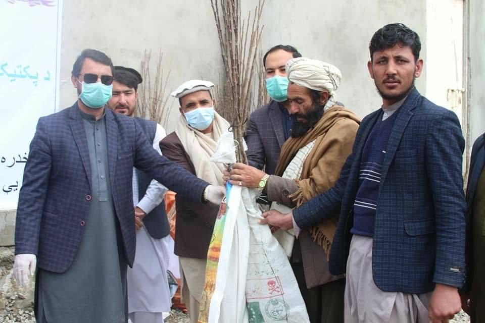 پکتیکا کې د ۳۰۰جریبه مېوه لرونکو بڼونو د جوړولو چارې پیل شوې