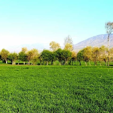 د پکتیا ولایت د څمکنیو، ډنډ پټان او احمدخیلو ولسوالیو ښکلې سیمې!