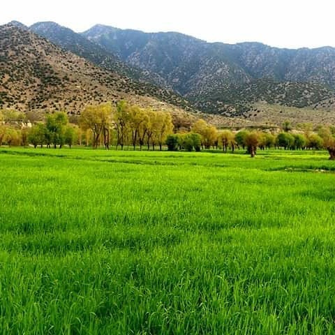 د پکتیا ولایت د څمکنیو، ډنډ پټان او احمدخیلو ولسوالیو ښکلې سیمې!