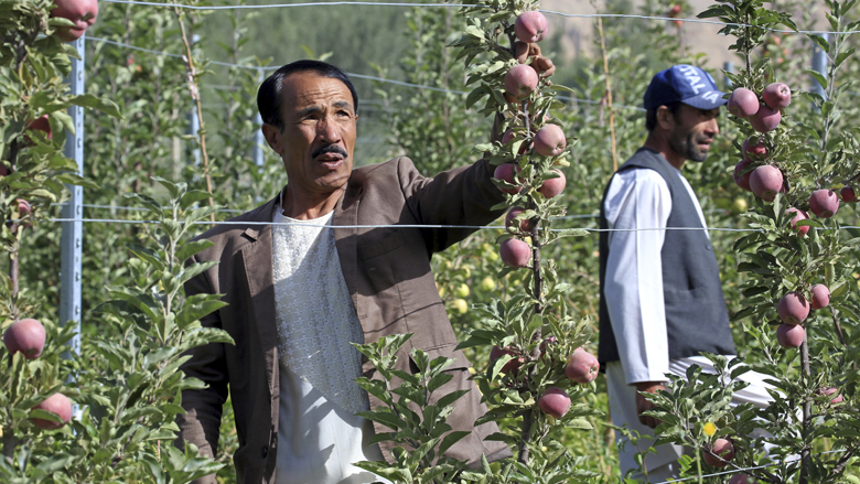 https://www.worldbank.org/en/news/feature/2019/12/31/high-density-farming-diversifies-crops-and-boosts-farmers-incomes