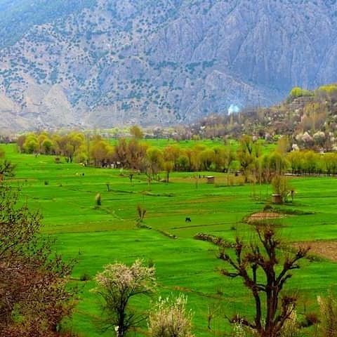 د پکتیا ولایت د څمکنیو، ډنډ پټان او احمدخیلو ولسوالیو ښکلې سیمې!