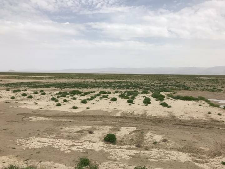 کندهار کې د مالدارۍ د ودې په پار پروژې پلي کیږي