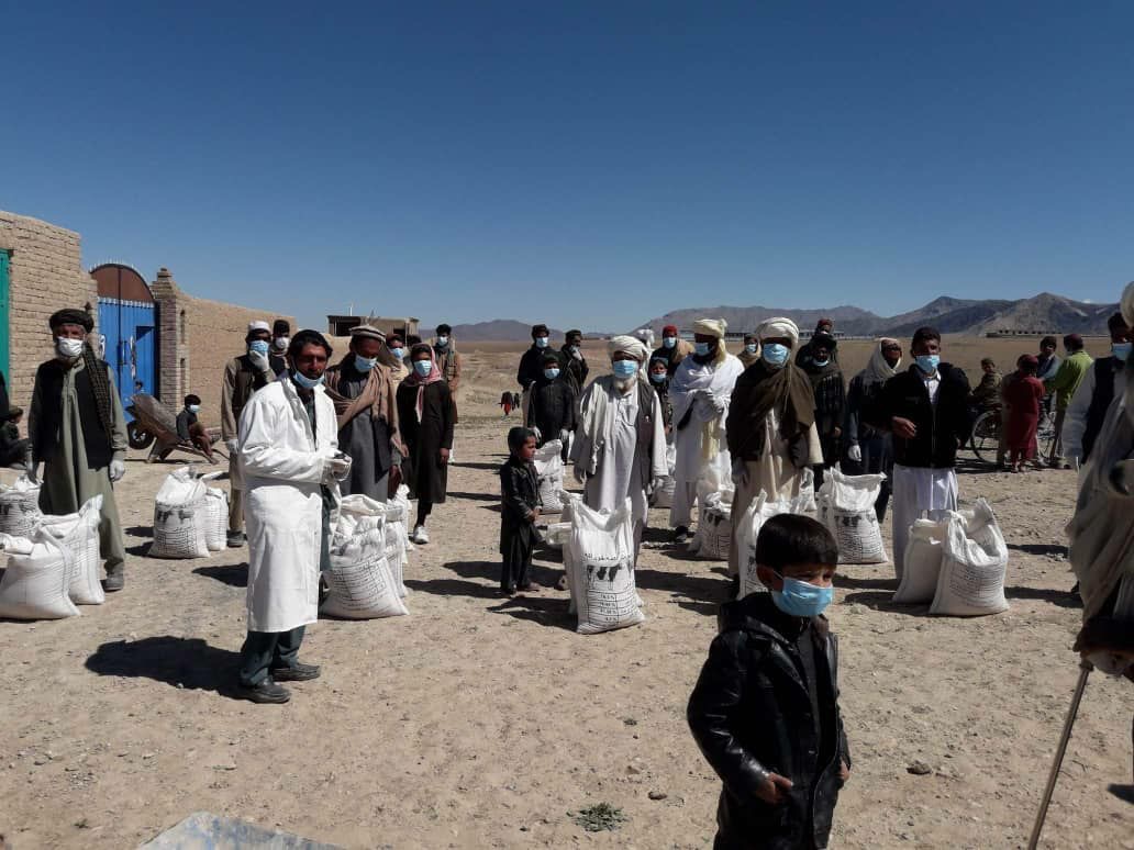 دوازده‌ونیم تُن خوراکه حیوانی به کوچی‌های لوگر توزیع شد