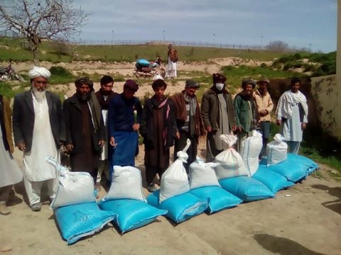 ۲۰ مزرعه‌ی نمایشی پنبه در بادغیس ساخته می‌شود