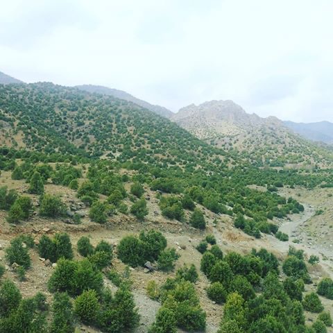 د پکتیا ولایت د ډنډپټان ولسوالۍ انځورونه!