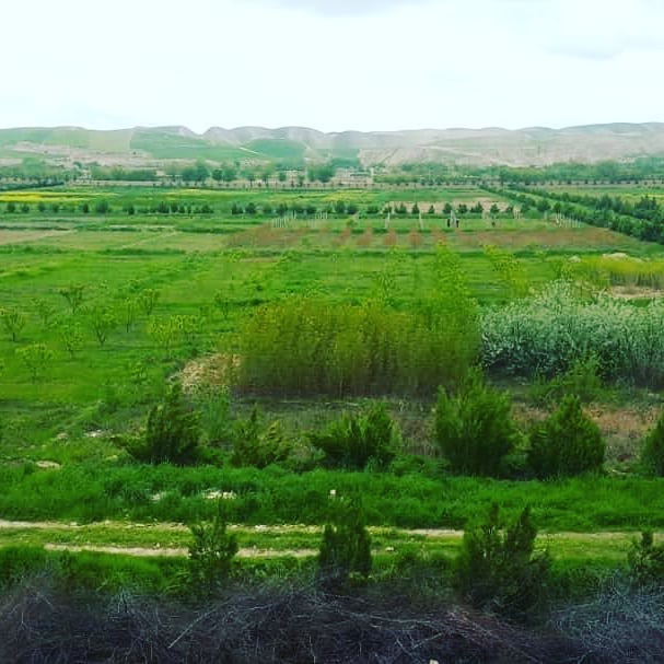 فارم مرکزی جنگل‌باغ ولایت سرپل!