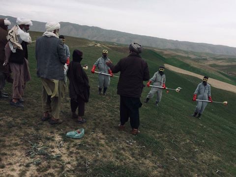 کمپاین مجادله علیه ملخ در بادغیس آغاز شد