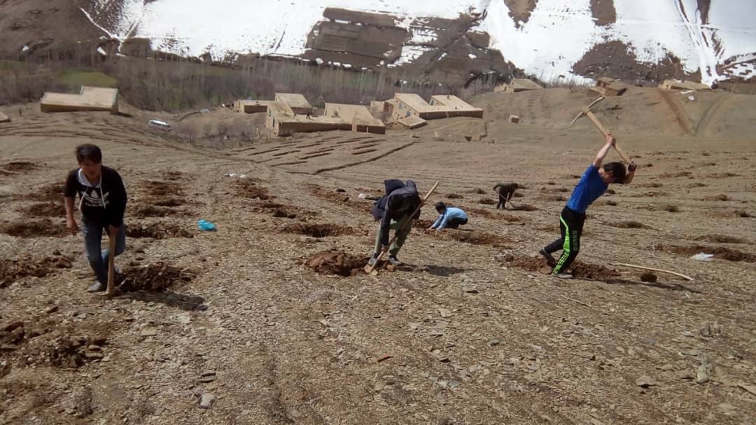 پروژه "راما" در شش ولسوالی و ۳۳ شورای ولایت دایکندی آغاز به کار کرد