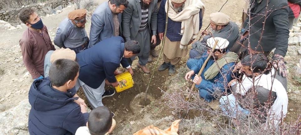 نورستان کې د غوزانو د عایداتي ځنګل د جوړېدو چارې پیل شوې