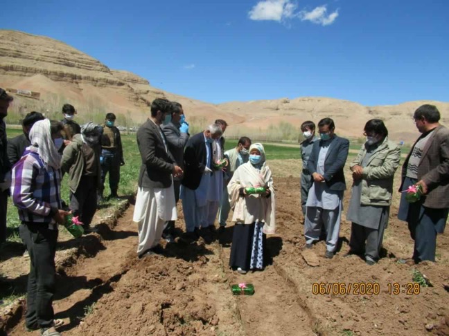 کار عملیسازی پروژههای مدیریت محصولات زراعتی در بامیان نیز آغاز شد