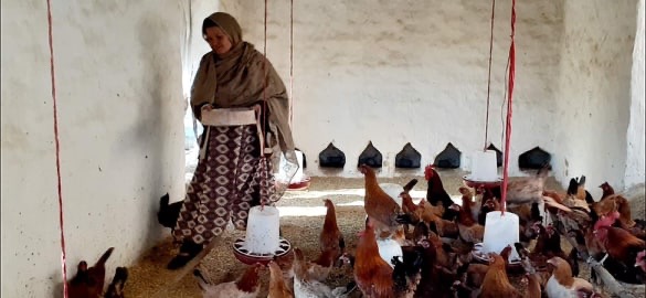 خدیجه نمونه‌ی روایت «زنان می‌توانند»