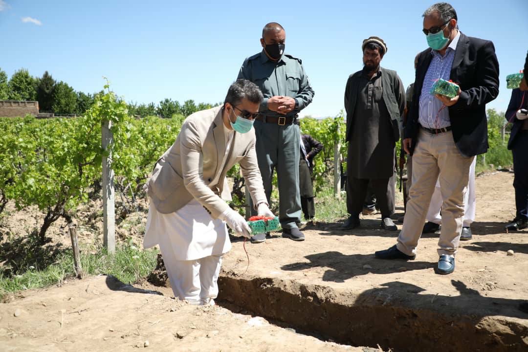 سنگ تهداب کشمش‌خانه‌های «طرح مدیریت محصولات زراعتی» در میربچه‌کوت گذاشته شد