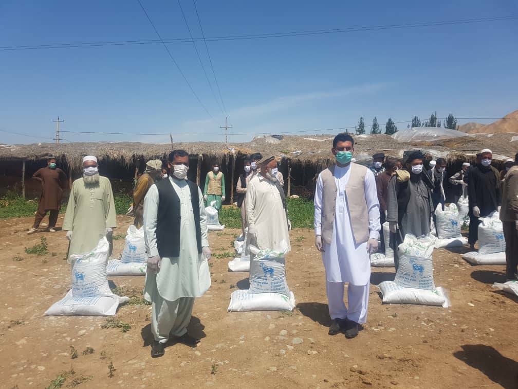 به کوچی‌های مالدار در بغلان ۲۰ تُن خوراکه حیوانی توزیع شد