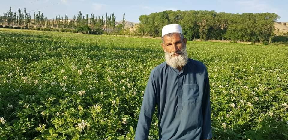 د کرنیزو محصولاتو مدیریت؛ بغلان او نورستان کې د ۴۴۴ کرنیزو پروژو چارې پیل شوې