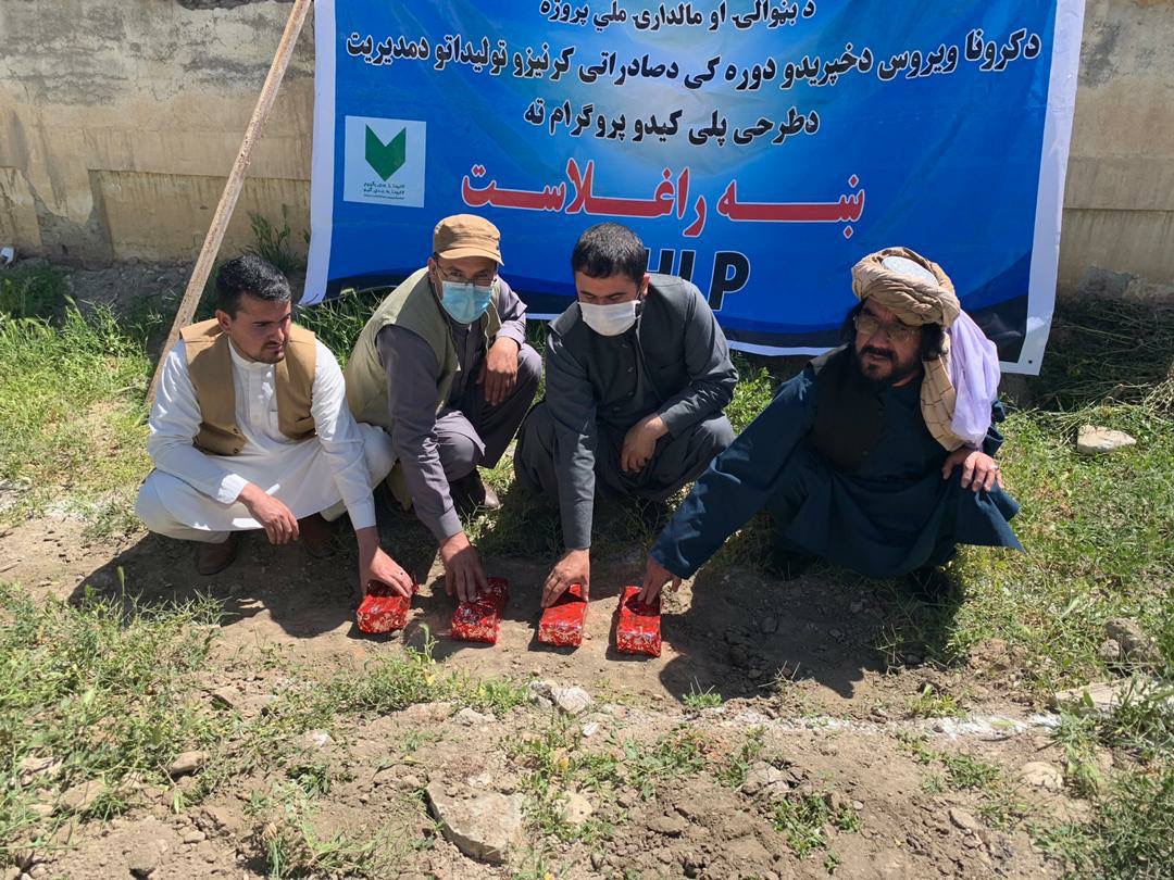 کار ۷۷۰ پروژه جدید زراعتی در غزنی شروع شد