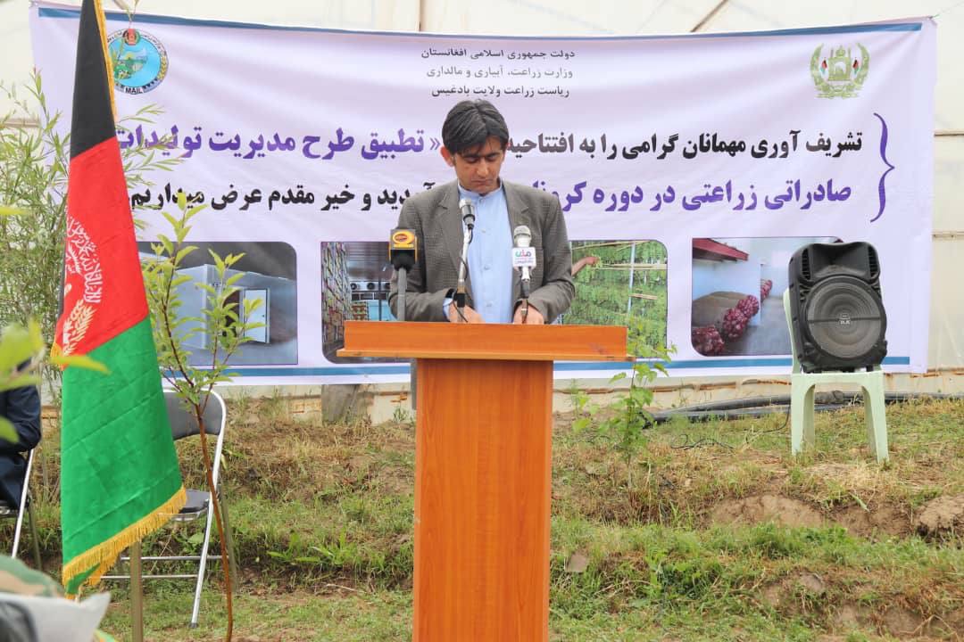 مدیریت محصولات تازه زراعتی در بادغیس؛ آغاز رسمی کار عملی ۳۷۰ پروژه‌ی نو