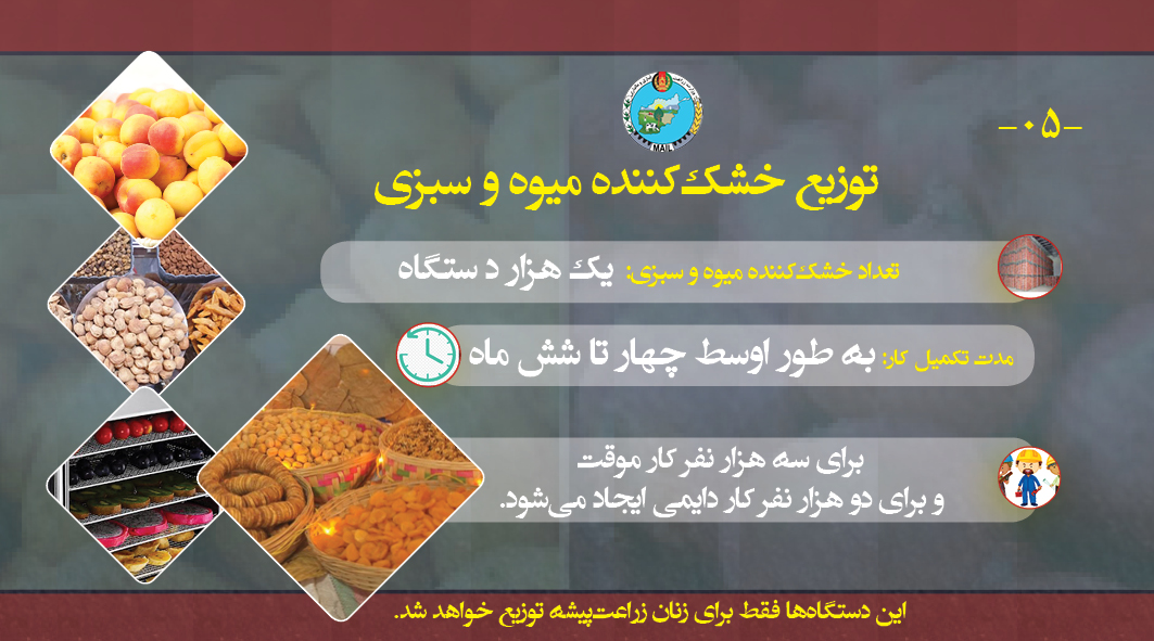 تطبیق طرح «مدیریت تولیدات صادراتی زراعتی در دوره‌ی کرونا» آغاز شد