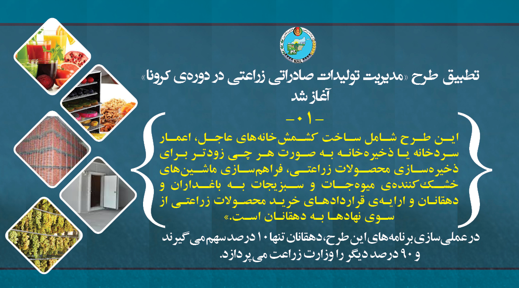 تطبیق طرح «مدیریت تولیدات صادراتی زراعتی در دوره‌ی کرونا» آغاز شد