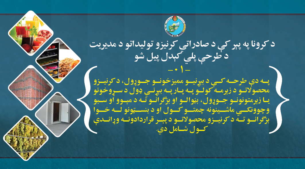 د کرنې، اوبولګولو او مالدارۍ وزارت په پام کې لري، چې د بزfګرانو لپاره نوي سړې خونې یا د پیازو او کچالو زېرمتونونه او ممیزخونې جوړ کړي