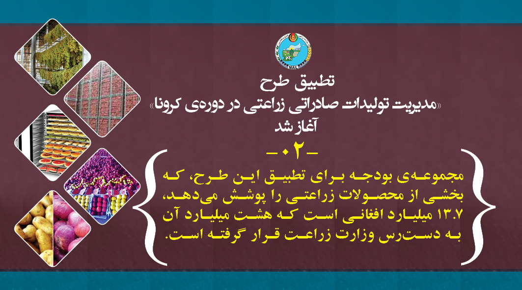 تطبیق طرح «مدیریت تولیدات صادراتی زراعتی در دوره‌ی کرونا» آغاز شد