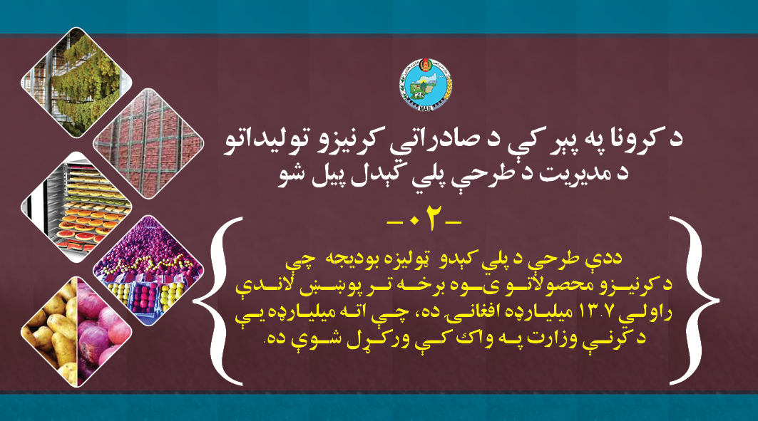 د کرونا په پېر کې د صادراتي کرنیزو تولیداتو د مدیریت د طرحې پلي کېدل پیل شو