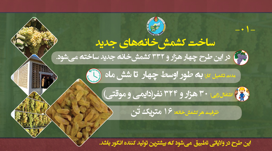 تطبیق طرح «مدیریت تولیدات صادراتی زراعتی در دوره‌ی کرونا» آغاز شد