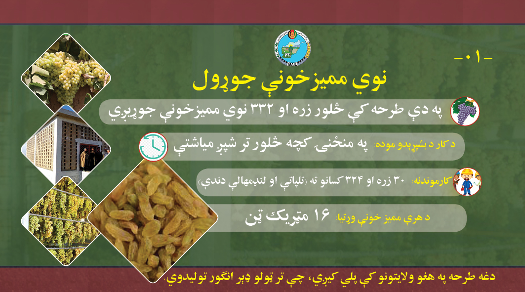 د کرونا په پېر کې د صادراتي کرنیزو تولیداتو د مدیریت د طرحې پلي کېدل پیل شو