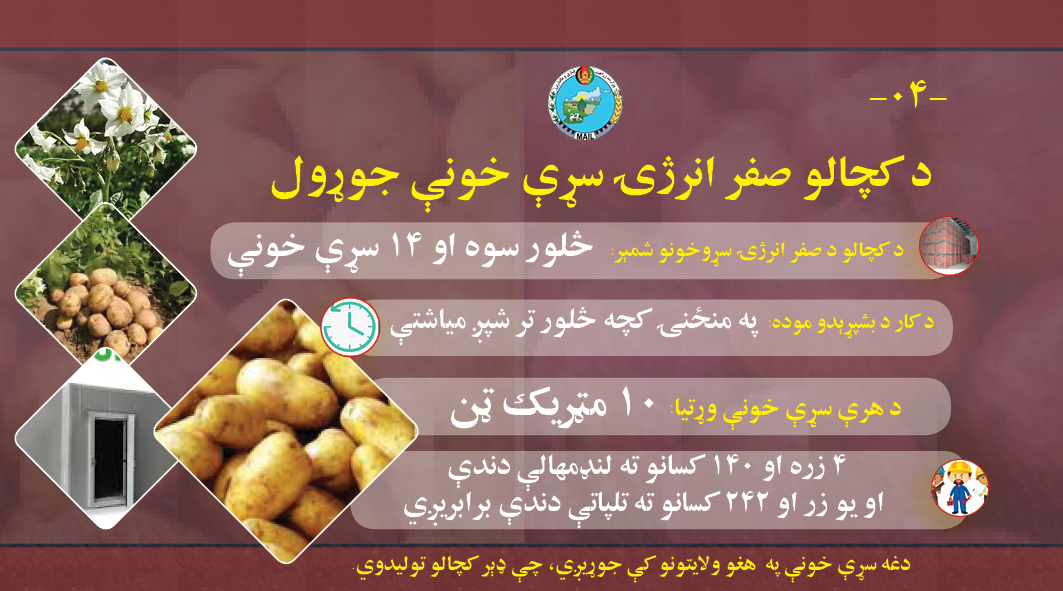 د کرونا په پېر کې د صادراتي کرنیزو تولیداتو د مدیریت د طرحې پلي کېدل پیل شو