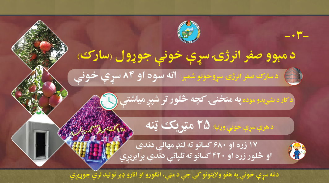 د کرونا په پېر کې د صادراتي کرنیزو تولیداتو د مدیریت د طرحې پلي کېدل پیل شو