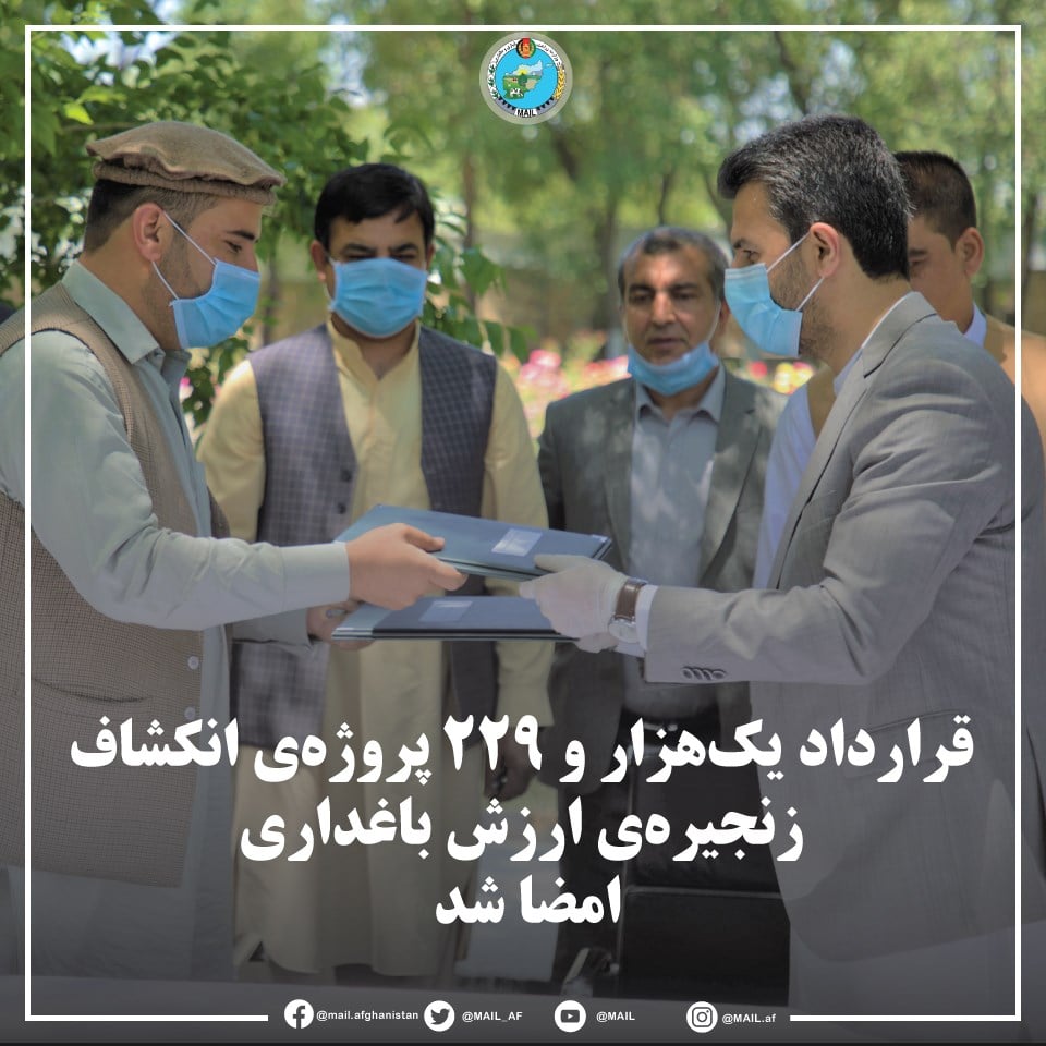 قرارداد یک‌هزار و ۲۲۹ پروژه‌ی انکشاف زنجیره‌ی ارزش باغداری امضا شد. جزییات تا دقایق بعد شریک می‌شود.