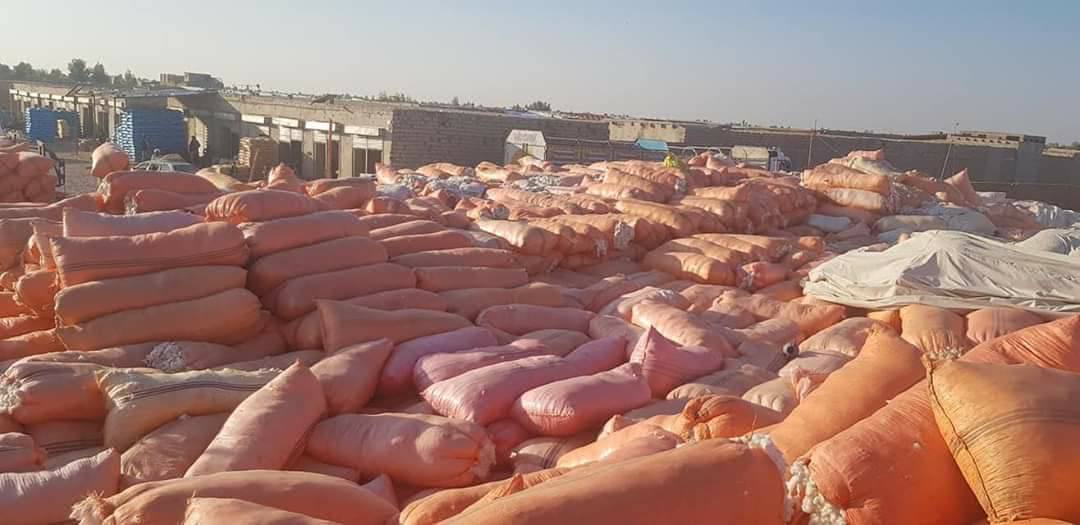 د هلمند د بُست تصدۍ بیا فعالیږي