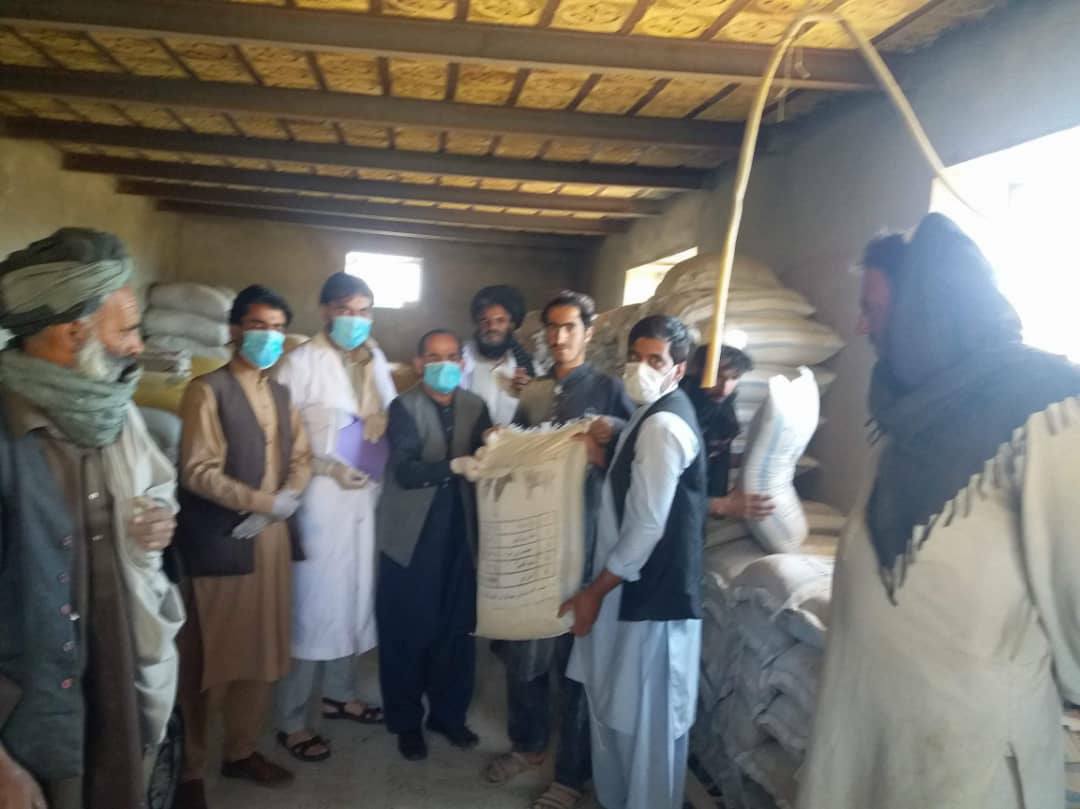 لوګر کې «د کوچیانو د وریو د مزي کولو» برنامه پیل شوی دی