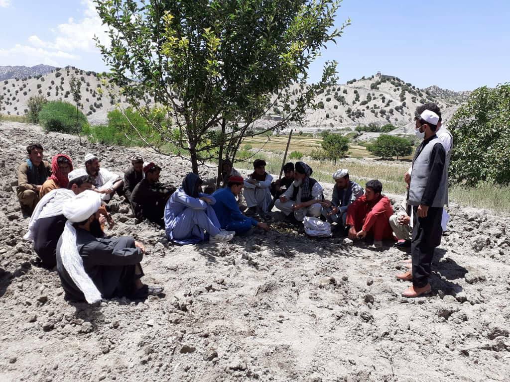 د پکتیا ګرده څېړۍ کې د نباتي ناروغیو او افتونو د وقایې روزنیز پروګرام پیل شو